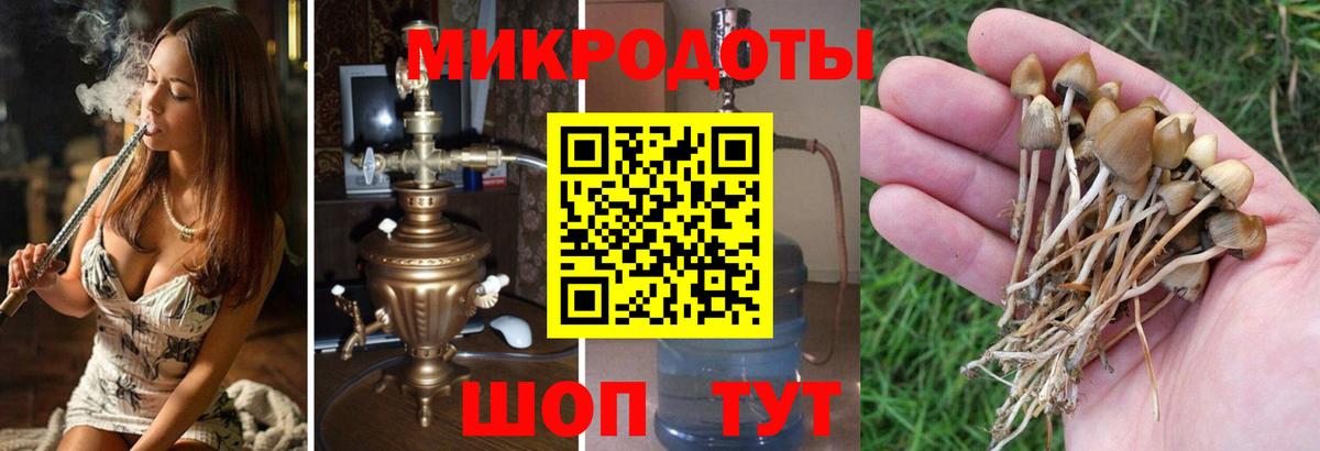 Галлюциногенные грибы GOLDEN TEACHER  Вход с VPN  Кропоткин  Галлюциногенные грибы Psilocybe 