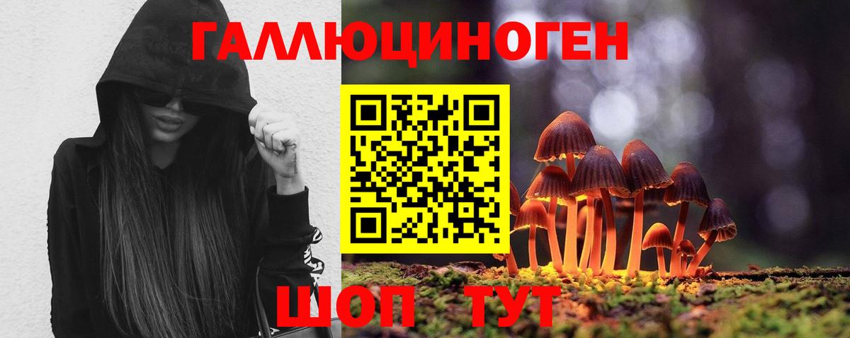 Галлюциногенные грибы GOLDEN TEACHER Кропоткин